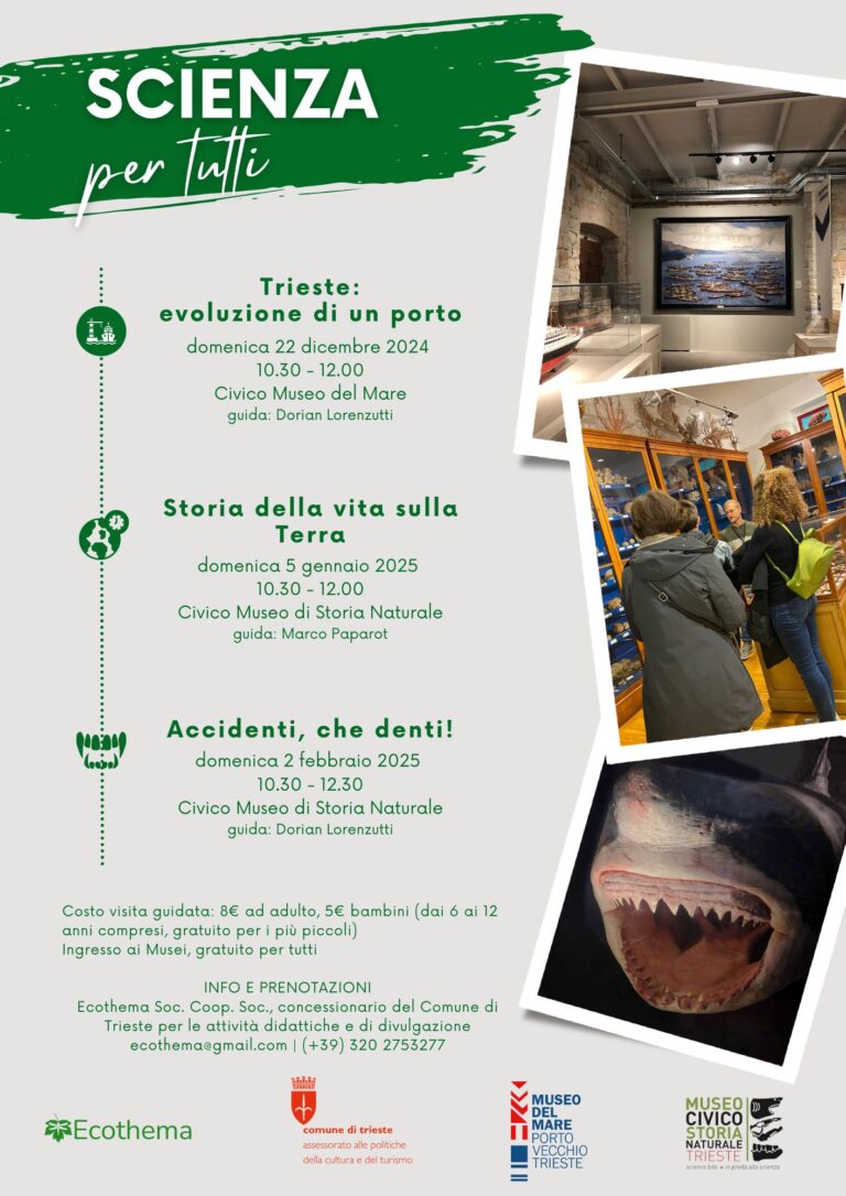 Scienza Per Tutti Museo Civico Di Storia Naturale Di Trieste